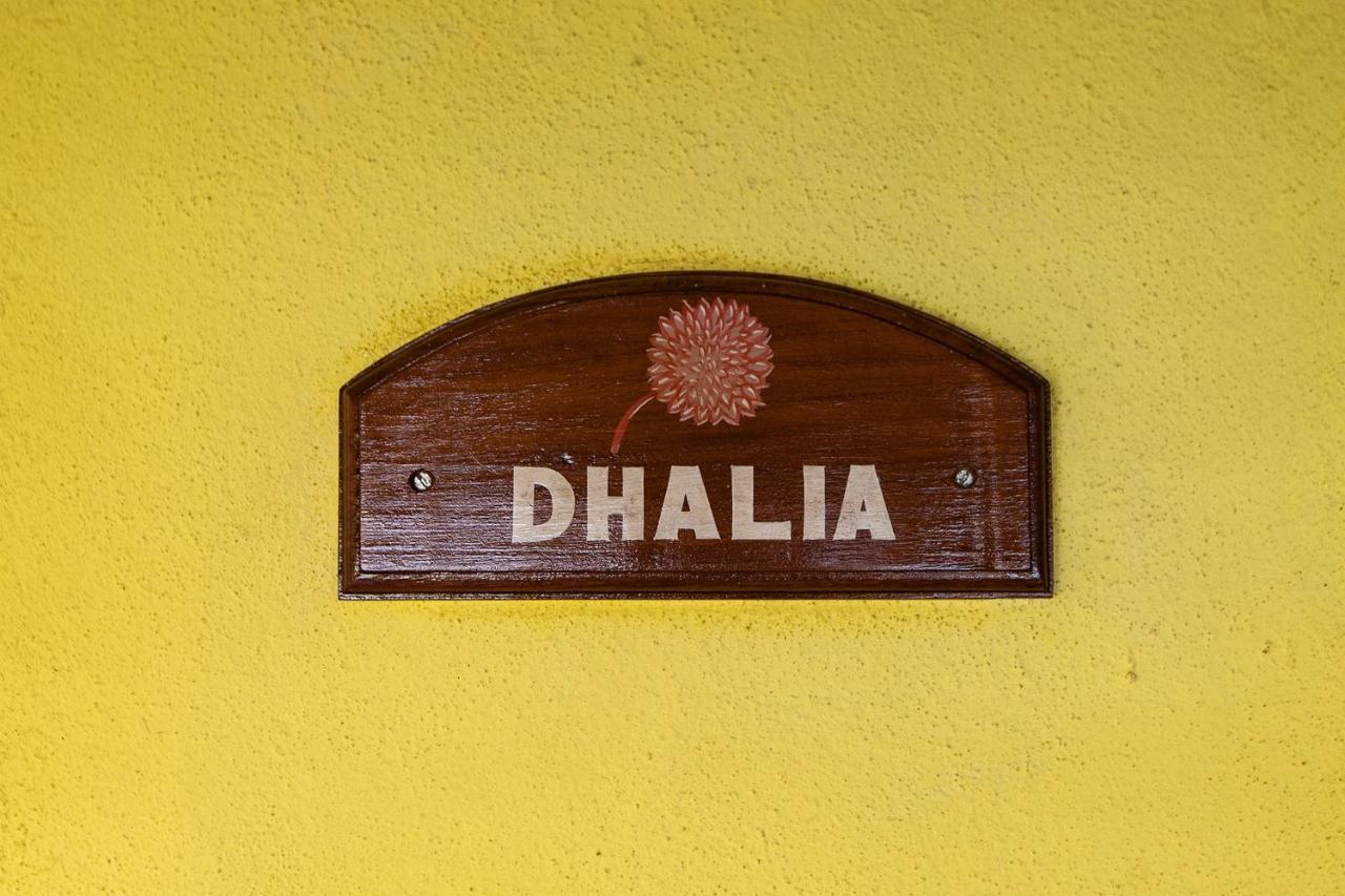 Hotel Presa Di Goa - Smith And Appy Managed Calangute Exterior foto